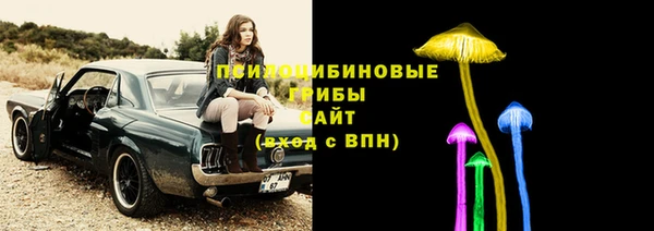 PSILOCYBIN Алексеевка