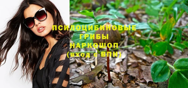 PSILOCYBIN Алексеевка