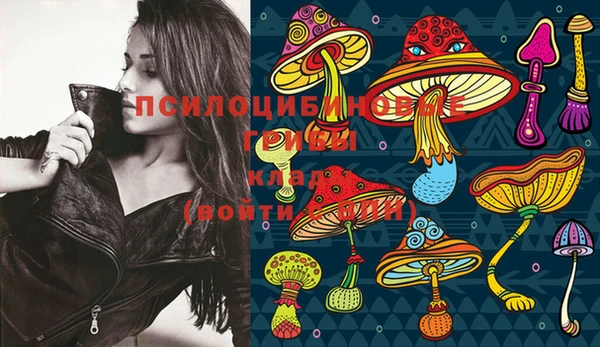 PSILOCYBIN Алексеевка